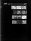 Construction Scenes (12 Negatives), May 13-15, 1965 [Sleeve 34, Folder b, Box 36]